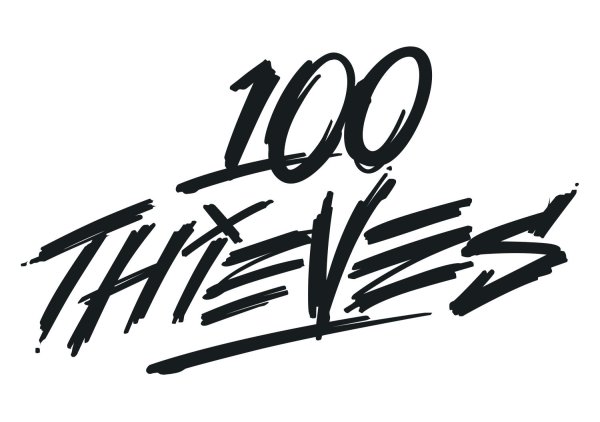 100 Thieves CS go наклейки