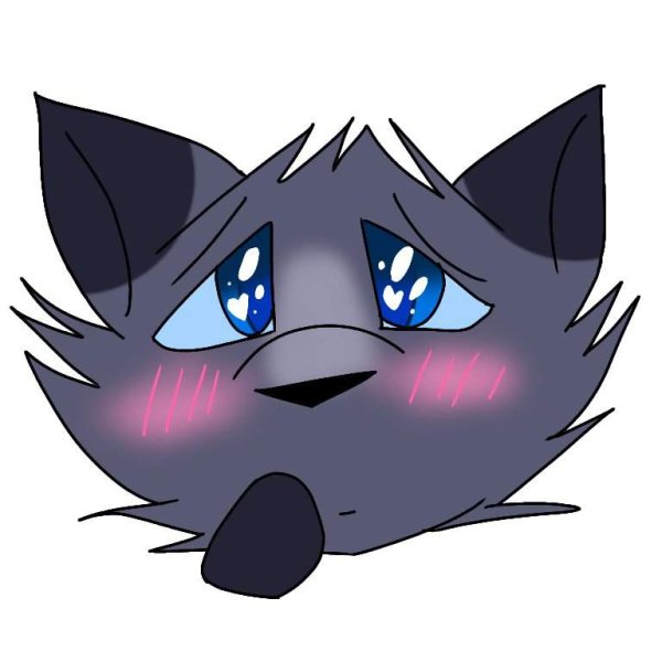 Коты Воители наклейки