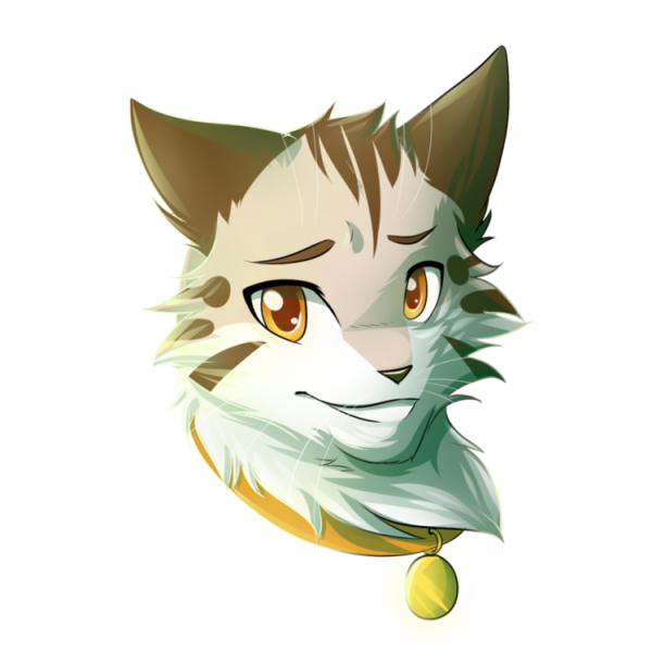 Коты Воители куча