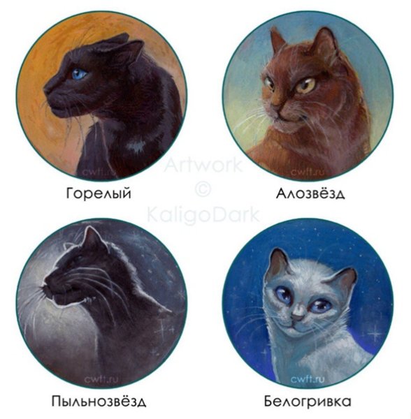 Наклейки котов воителей