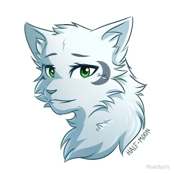 Коты Воители наклейки