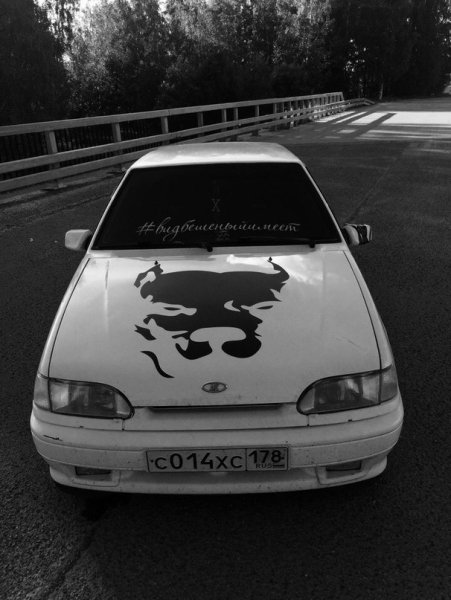 Питбуль на ВАЗ 2114