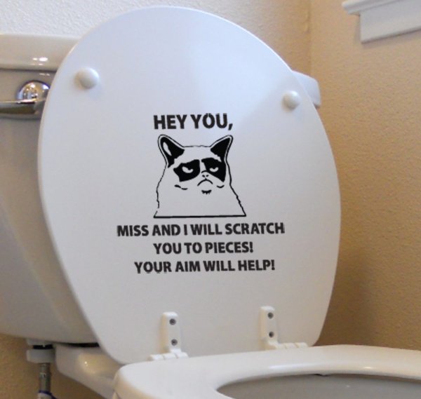 Наклейки на унитаз прикольные