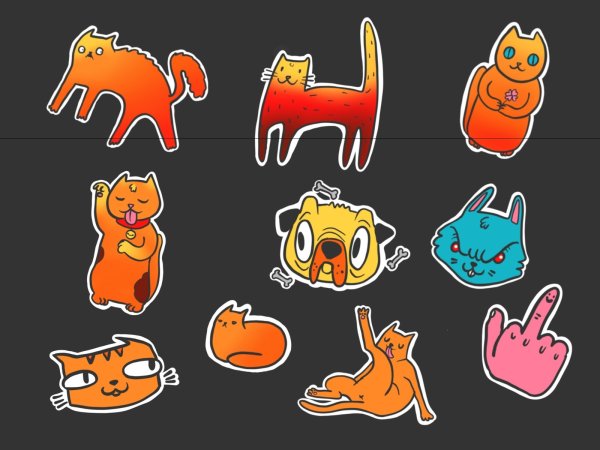 Оранжевый отпечаток лапки