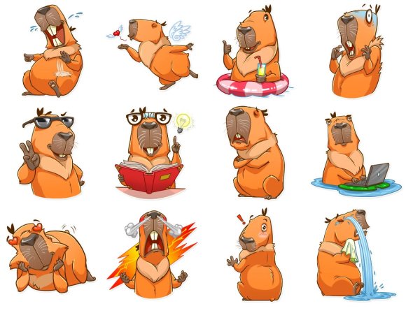 Стикеры капибара телеграмм