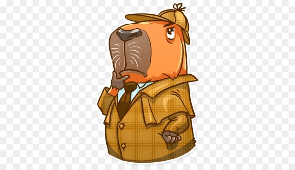 Стикеры капибара телеграмм