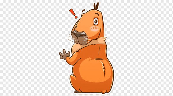 Капибара смайлик