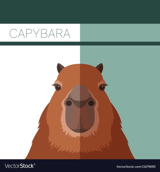 Стикеры капибара телеграмм