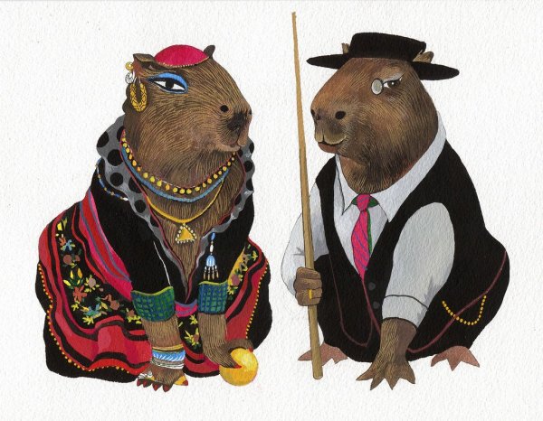 Капибара на бешом Ыонп