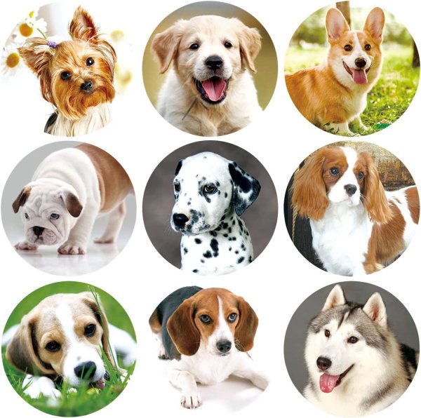 Наклейки "собаки"