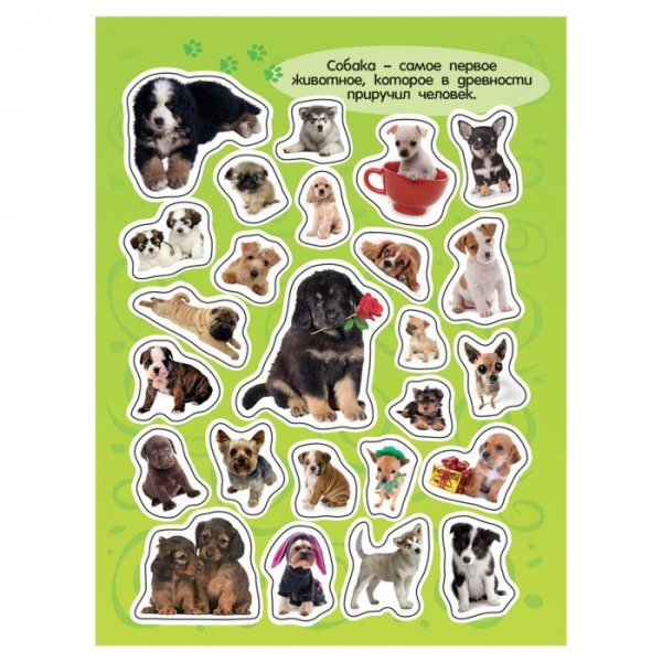 18233 100 Наклеек. Собаки