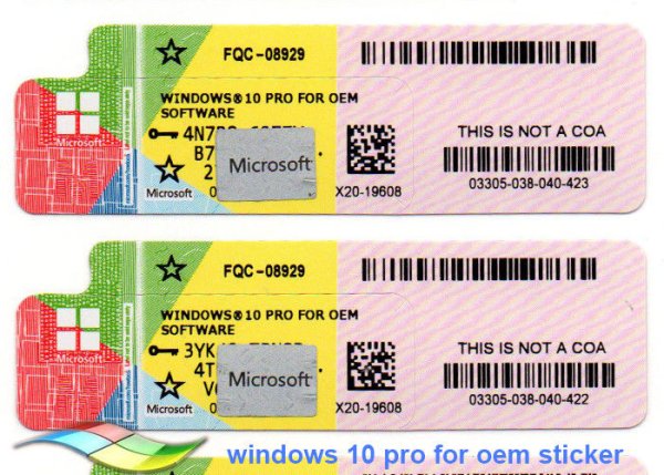 COA OEM 10 Pro