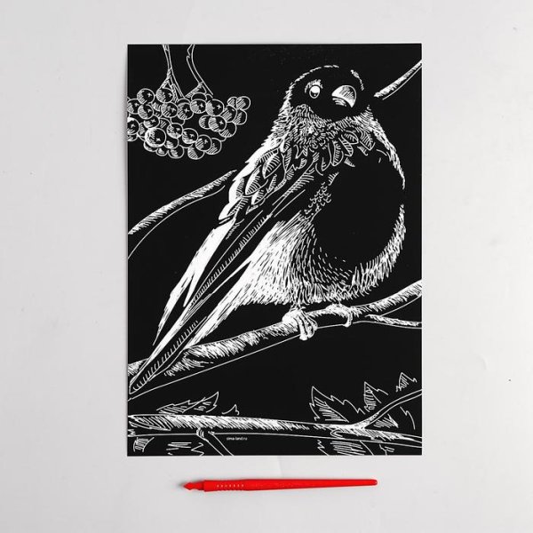 Гравюра а4 Снегирь на ветке с металлическим эффектом 3536797