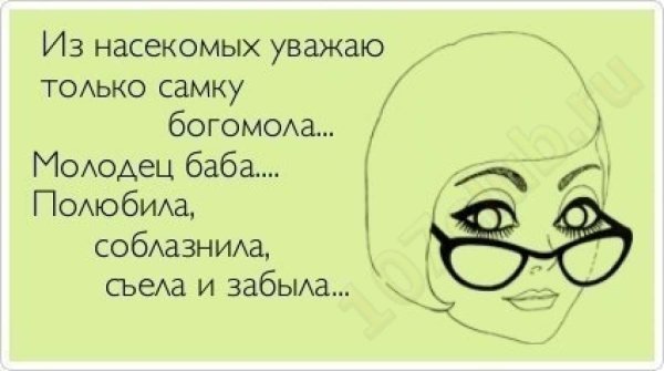 Ведьма на метле вверх ногами