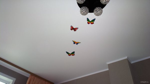 Бабочки на потолке