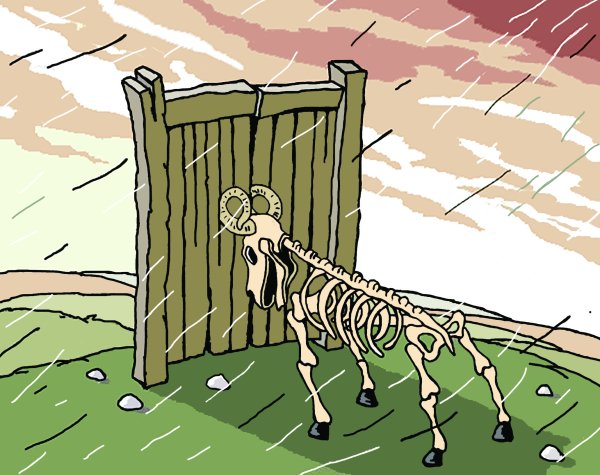 Баран уперся в стену