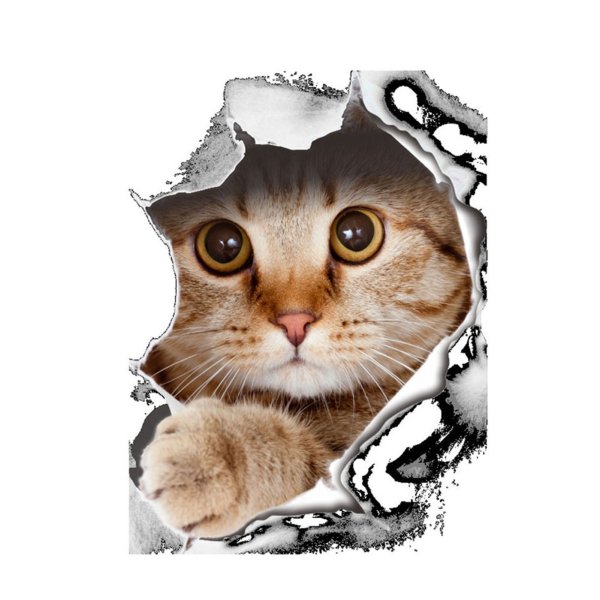 3d наклейки коты