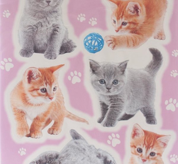 Самодельные наклейки котики