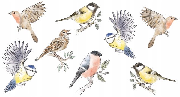 Птицы (с наклейками)