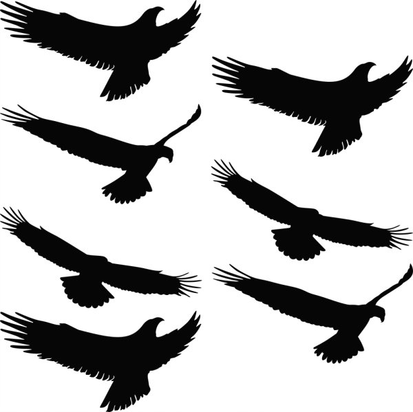 Наклейка отпугиватель птиц