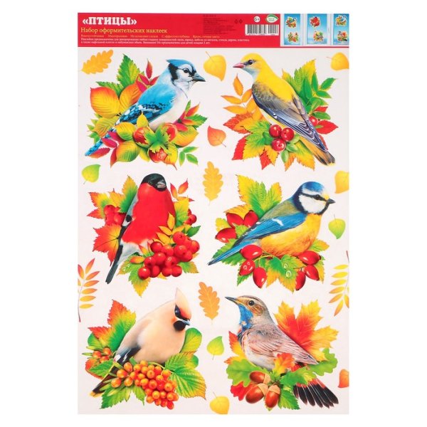 Наклейки птицы для детей