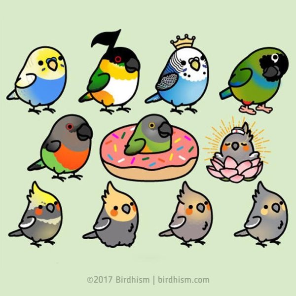 Стикеры птицы