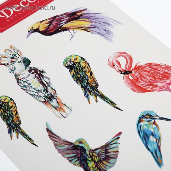 Птицы (с наклейками)