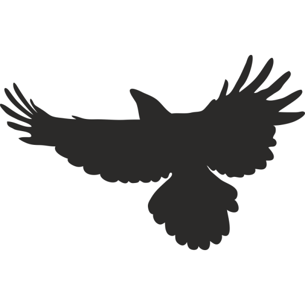 Наклейка птички