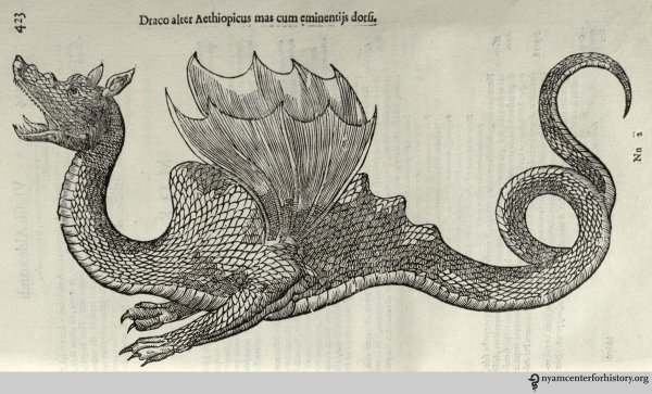 Дракон Альдрованди