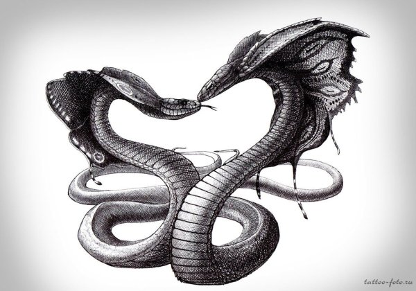 Наоми Лорд Слизерин