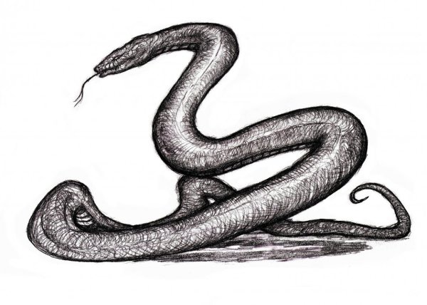 Змея Кобра Нагайна