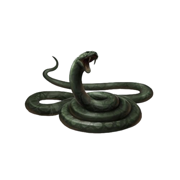 Дракон и Феникс Китай Инь Янь