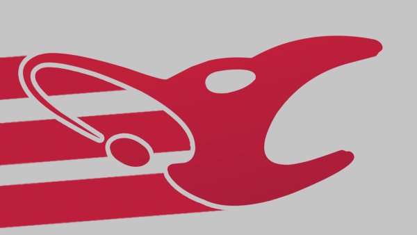 Маузспорт НИП