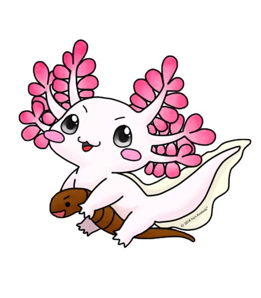 Милые Стикеры аксолотль