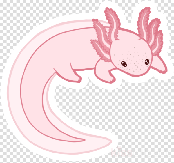 Аксолотль адопт