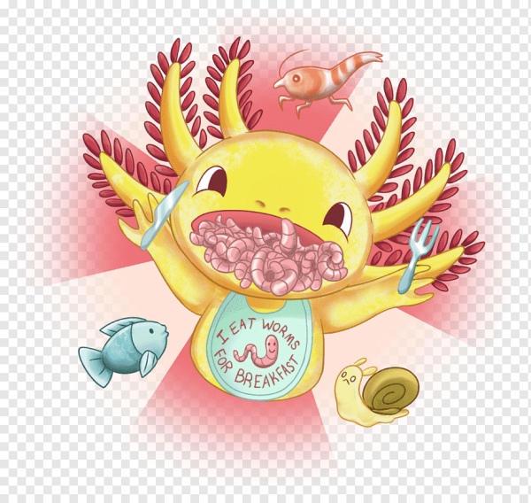 Наоми Лорд аксолотль