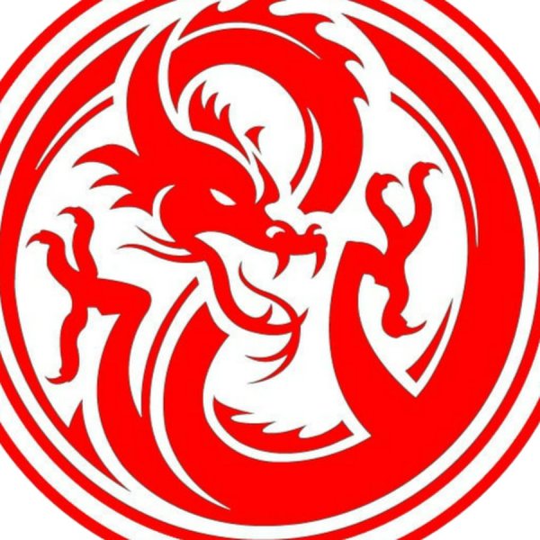 Йога дракон логотип