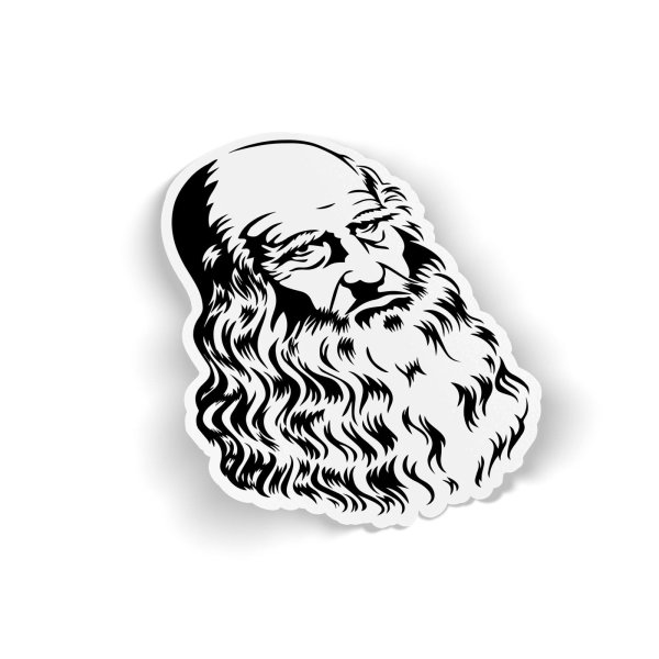 Именные наклейки