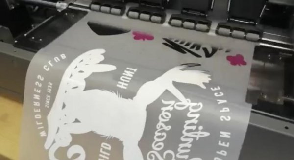 Печать на прозрачной пленке