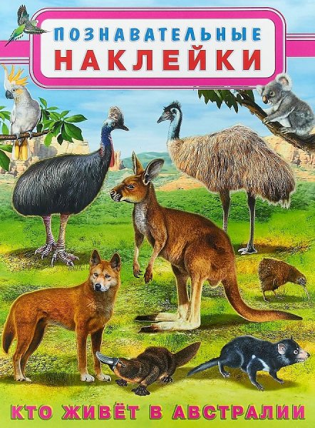 Загадки с наклейками