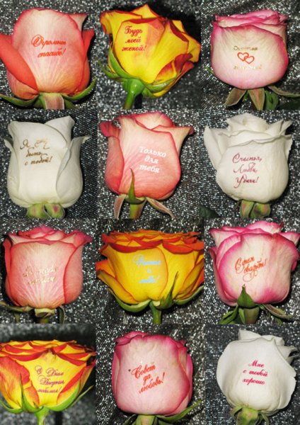 Наклейки на цветах