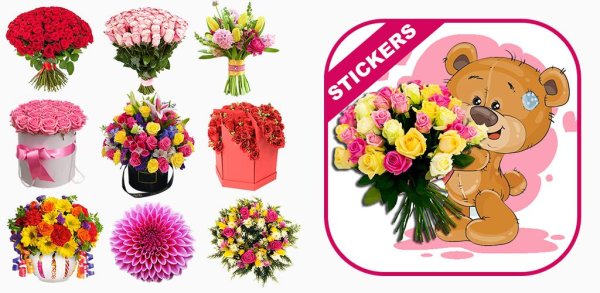 Стикеры цветы для ватсапа