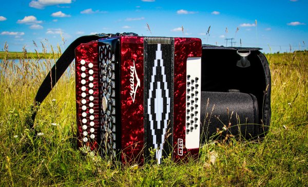 Гармонь гармонь гармошечка