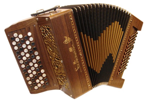 Баян-инструмент баянист