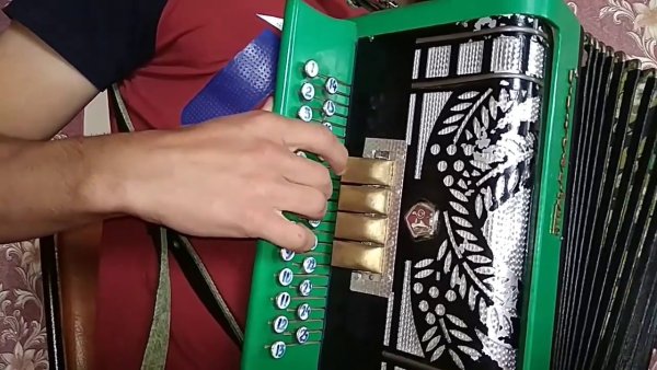 Цифры на гармони