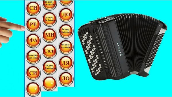 Левая клавиатура аккордеона до диез