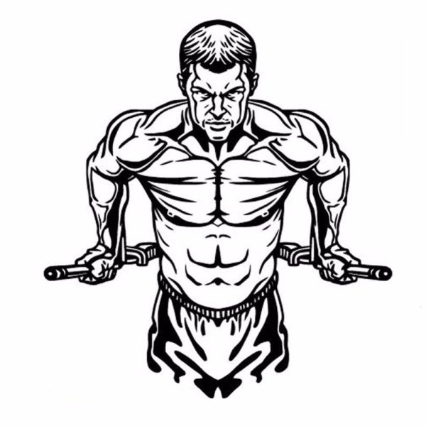 Воркаут карандашом