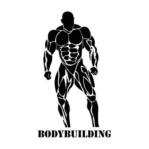 Мышцы спортсмена