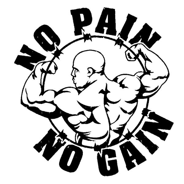 Спорт Сити в Грозном наклейки для мышца