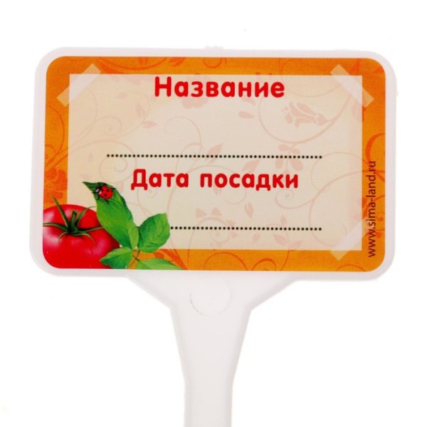 Таблички для огорода в детском саду